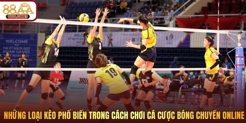 Những loại kèo phổ biến trong cách chơi cá cược bóng chuyền online